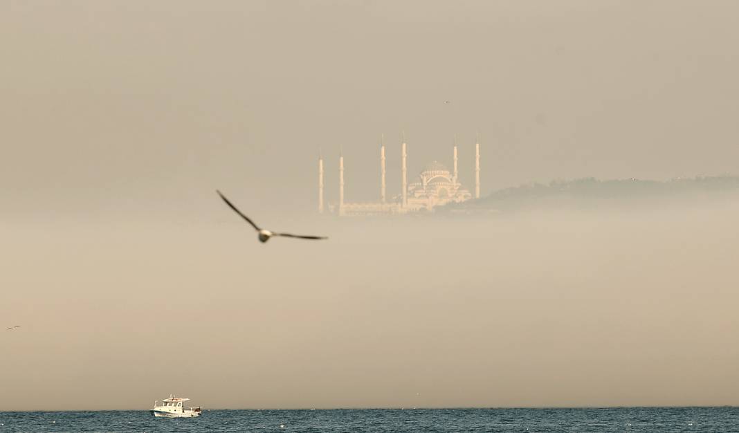 İstanbullular bu uyarıya kulak verin: Son derece riskli! Her yıl 44 bin kişi bu nedenle hayatını kaybediyor 13